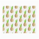 Succulent Vases  Small Glasses Cloth Front