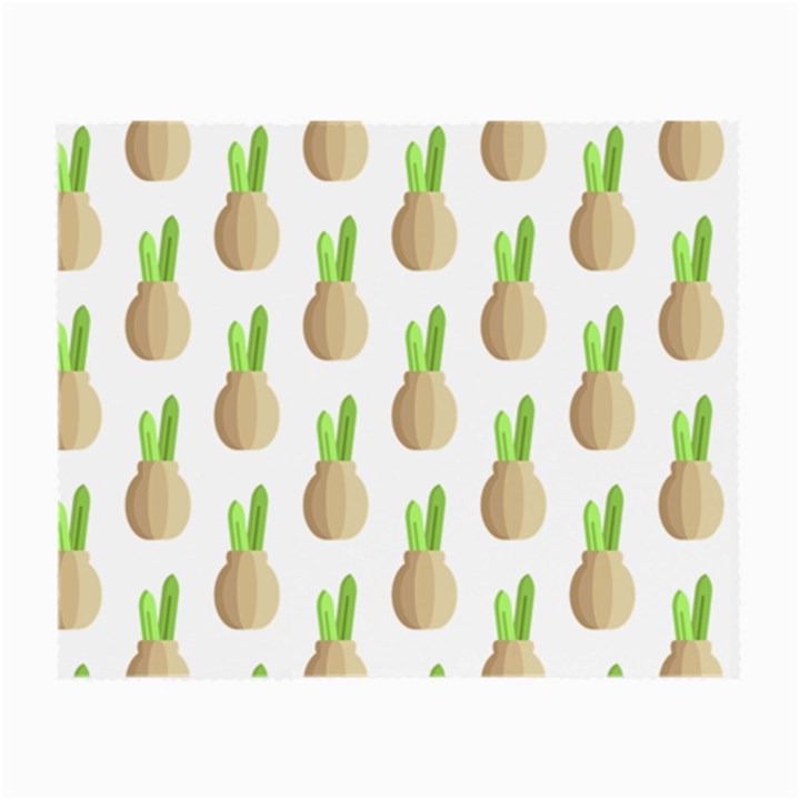 Succulent Vases  Small Glasses Cloth