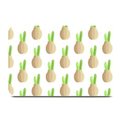 Succulent Vases  Plate Mat