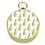 Succulent Vases  Gold Compass Front