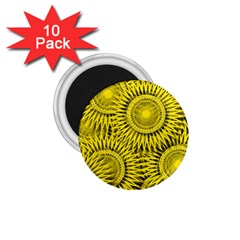 Yellow Abstract Sun Pattern Background 1.75  Magnets (10 pack) 