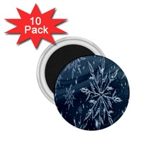 Stars-2 1 75  Magnets (10 Pack)  by nateshop