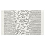 Joy Division Unknown Pleasures Banner and Sign 7  x 4  Front