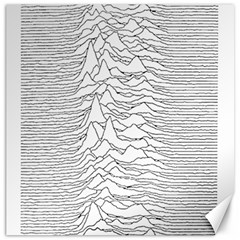 Joy Division Unknown Pleasures Canvas 20  X 20  by Jancukart