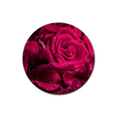 Water Rose Pink Background Flower Rubber Coaster (round) by Ravend