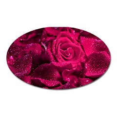 Water Rose Pink Background Flower Oval Magnet by Ravend