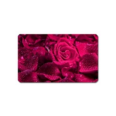 Water Rose Pink Background Flower Magnet (name Card) by Ravend