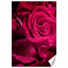 Water Rose Pink Background Flower Canvas 12  X 18  by Ravend