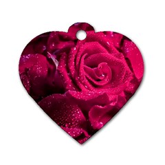 Water Rose Pink Background Flower Dog Tag Heart (one Side) by Ravend