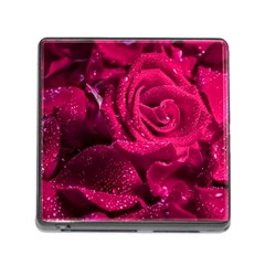 Water Rose Pink Background Flower Memory Card Reader (square 5 Slot) by Ravend