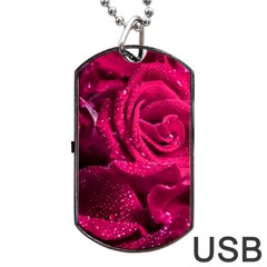 Water Rose Pink Background Flower Dog Tag Usb Flash (two Sides) by Ravend