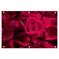 Water Rose Pink Background Flower Banner And Sign 6  X 4  by Ravend