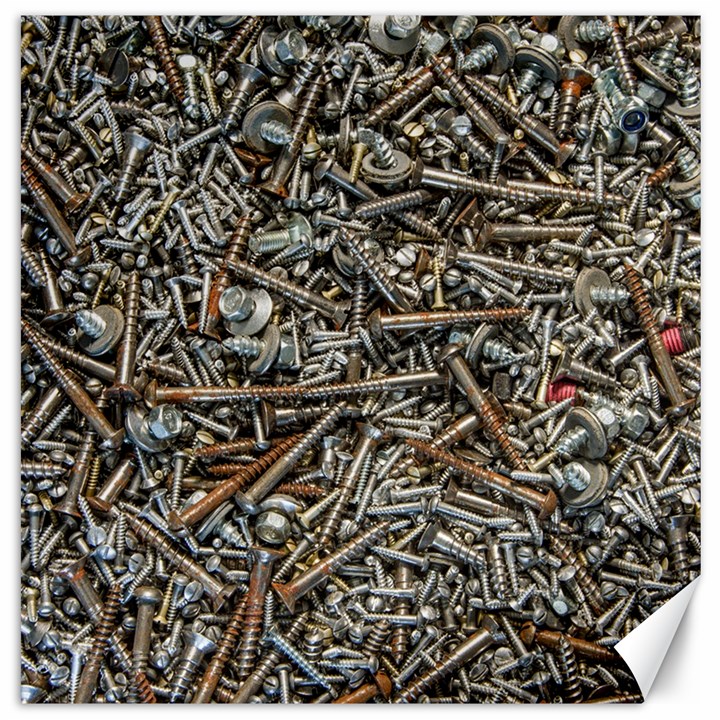 Screws Scrap Metal Rusted Screw Art Canvas 20  x 20 