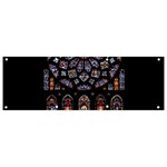 Chartres Cathedral Notre Dame De Paris Amiens Cath Stained Glass Banner and Sign 9  x 3  Front