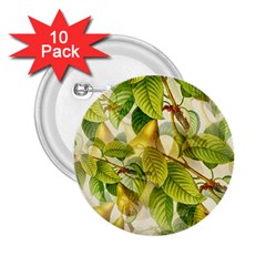 Pear Fruit Tree Organic Pattern 2 25  Buttons (10 Pack)  by Wegoenart