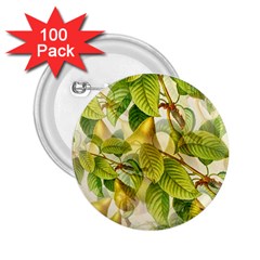 Pear Fruit Tree Organic Pattern 2 25  Buttons (100 Pack)  by Wegoenart