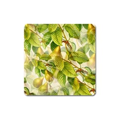 Pear Fruit Tree Organic Pattern Square Magnet by Wegoenart