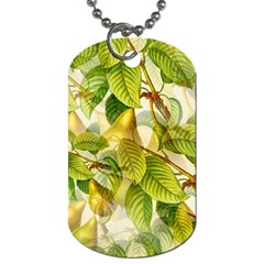 Pear Fruit Tree Organic Pattern Dog Tag (one Side) by Wegoenart