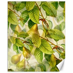 Pear Fruit Tree Organic Pattern Canvas 16  X 20  by Wegoenart