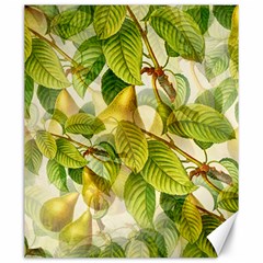 Pear Fruit Tree Organic Pattern Canvas 20  X 24  by Wegoenart