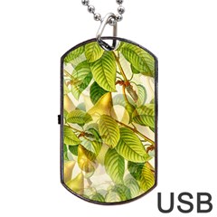 Pear Fruit Tree Organic Pattern Dog Tag Usb Flash (two Sides) by Wegoenart