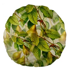 Pear Fruit Tree Organic Pattern Large 18  Premium Flano Round Cushions by Wegoenart