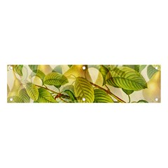 Pear Fruit Tree Organic Pattern Banner And Sign 4  X 1 