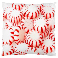 Candy Large Flano Cushion Case (two Sides) by artworkshop