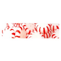 Candy Oblong Satin Scarf (16  X 60 ) by artworkshop