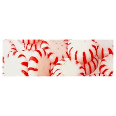 Candy Banner And Sign 12  X 4 