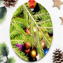 Christmas Candy 2 Ornament (oval) by artworkshop