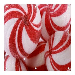 Christmas Candy Banner And Sign 3  X 3  by artworkshop