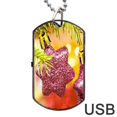 Christmas Decoration 5 Dog Tag Usb Flash (two Sides) by artworkshop