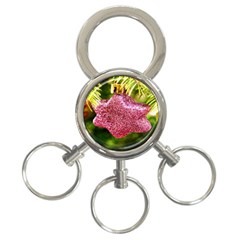 Christmas Decoration 6 3-ring Key Chain by artworkshop