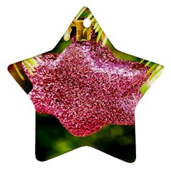 Christmas Decoration 6 Star Ornament (two Sides) by artworkshop