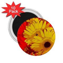 Flower Daisies Bloom Blossom 2 25  Magnets (10 Pack)  by Wegoenart