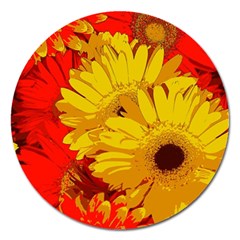 Flower Daisies Bloom Blossom Magnet 5  (round) by Wegoenart