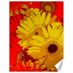 Flower Daisies Bloom Blossom Canvas 12  X 16  by Wegoenart