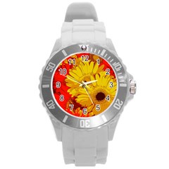 Flower Daisies Bloom Blossom Round Plastic Sport Watch (l) by Wegoenart