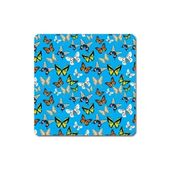 Butterflies Square Magnet by nateshop