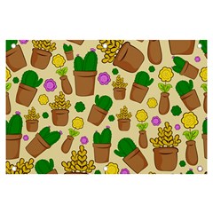 Cactus Banner And Sign 6  X 4  by nateshop