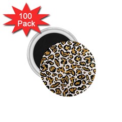 Cheetah 1 75  Magnets (100 Pack)  by nateshop