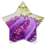 Christmas Decoration 8 Ornament (Star) Front