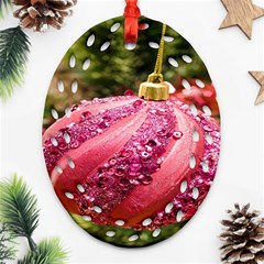 Christmas Decoration 9 Ornament (oval Filigree) by artworkshop