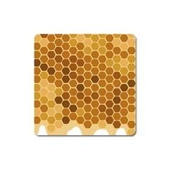 Honey Nature Bee Cute Wax Beeswax Square Magnet by danenraven