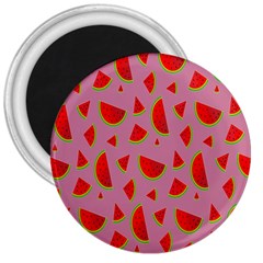 Fruit 1 3  Magnets by nateshop