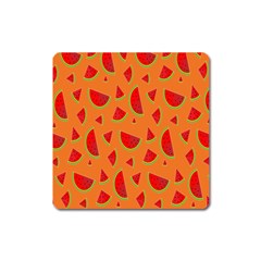 Fruit 2 Square Magnet by nateshop