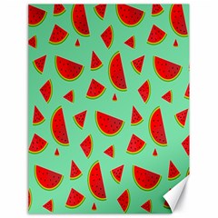 Fruit5 Canvas 18  X 24  by nateshop