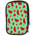 Fruit5 Compact Camera Leather Case Front