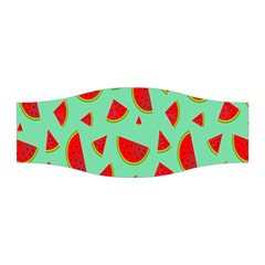 Fruit5 Stretchable Headband by nateshop